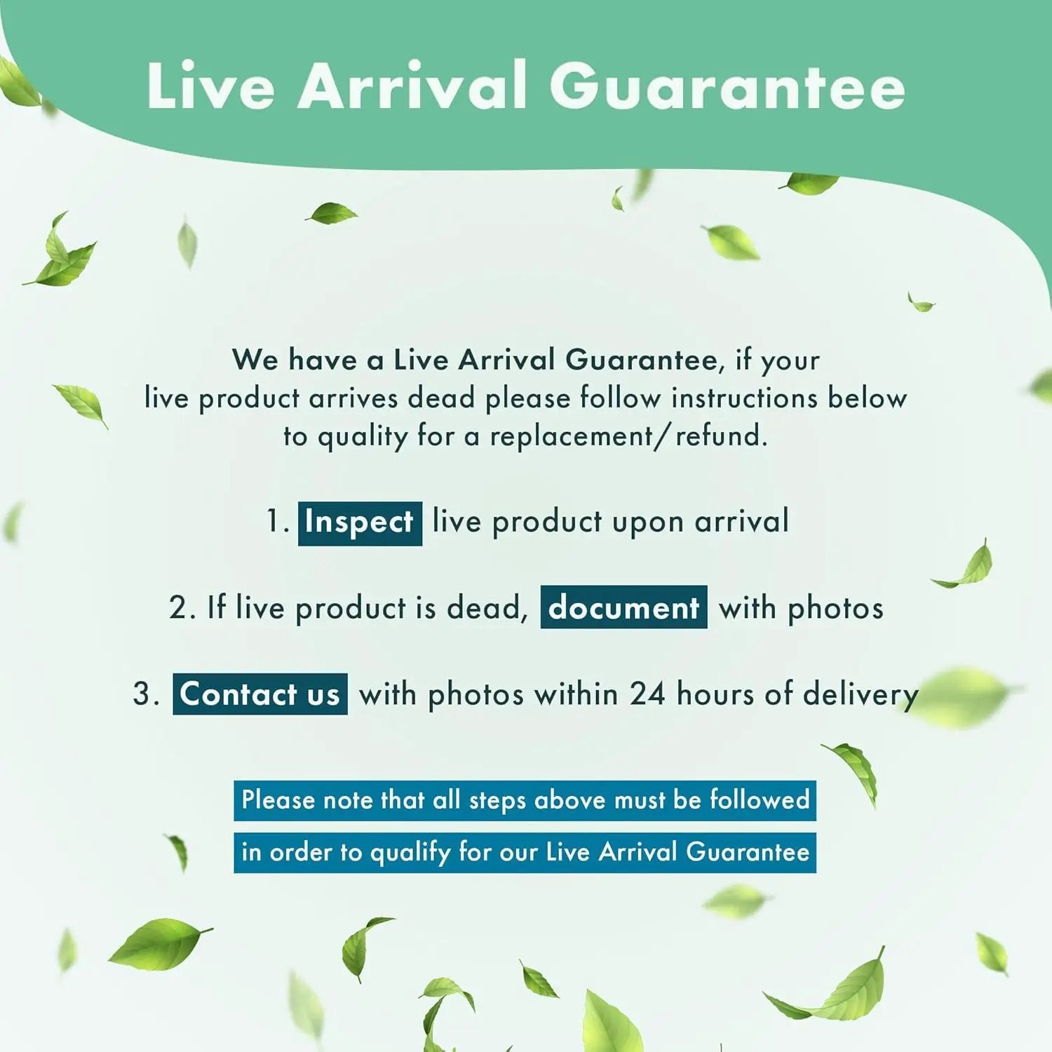 Anubias Live Aquarium Plants - Potted Freshwater Plant for Fish Tanks, Terrariums - Beginner Friendly Low Light (Nana Thick Leaf, 1 Pot) by GreenHaven Gardens