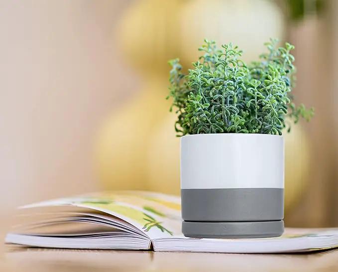 D'vine Dev Set of 2 Plants Pots, 4.6 Inch Ceramic Planter Pot for Plants with Drainage Hole and Saucer, White/Speckled Grey, 94-V-B-6 by GreenHaven Gardens