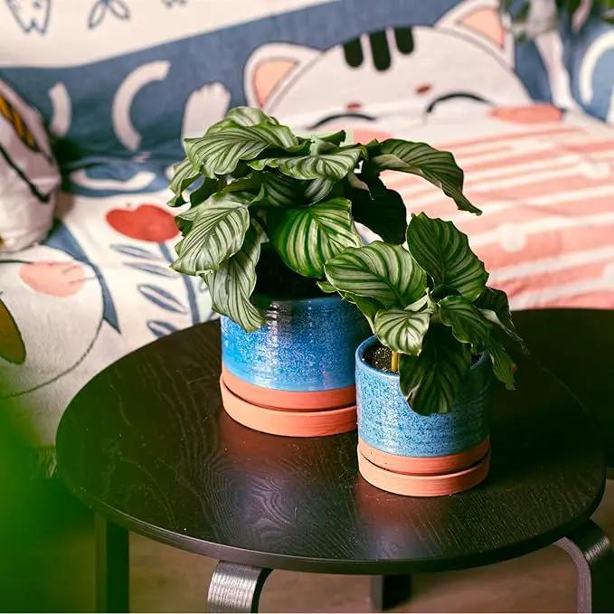 6 + 8 Inch Plant Pots, Ceramic Planter Pot with Drainage Hole & Saucer, Indoor/Outdoor Cylinder Round Planter Pot, Aqua Blue & Terracotta by GreenHaven Gardens