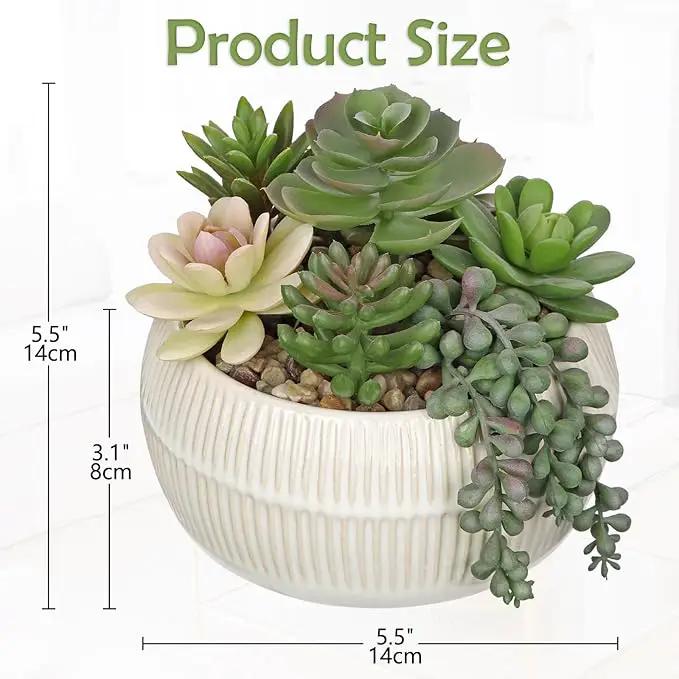DILATATA Artificial Succulent Plants in Pot 5.5 Inch Fake Succulents Arrangement Potted Plant in White Ceramic Planter Bowl for Home Office Desk Shelf Living Room Bedroom Bathroom Decor by GreenHaven Gardens