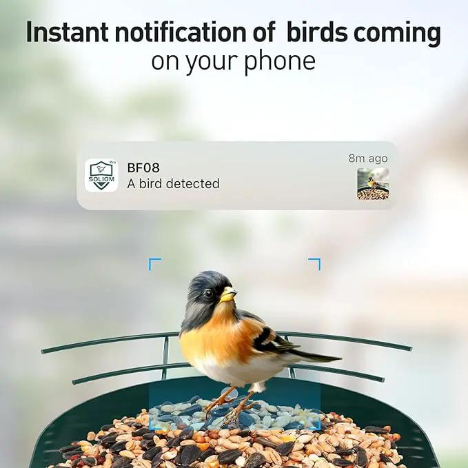 SOLIOM Solar Bird Feeder with Camera for Outdoors - AI Smart Birdhouse, 2K Live View & Instant Alerts, Squirrel Proof - Perfect Bird Watching Gift (Red) by GreenHaven Gardens