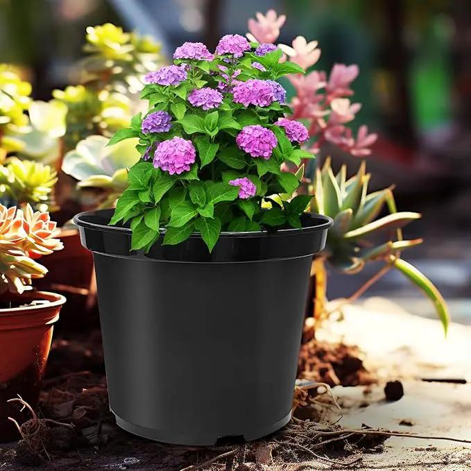 3 Gallon Plastic Nursery Pots, 10 Inch Round Plant Pots with Drainage Holes, 10 Pack Planting Pot for Outdoor Indoor Plants, Black by GreenHaven Gardens