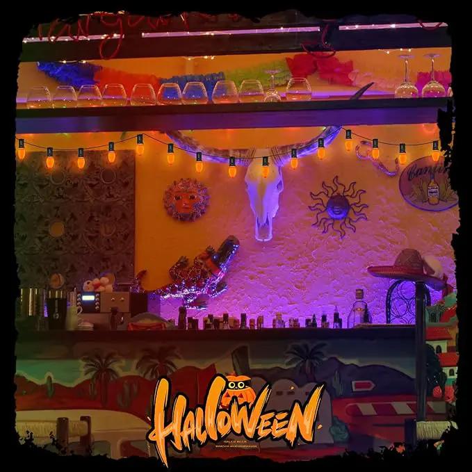 C7 LED Outdoor Halloween Lights 25Ft Orange Christmas String Lights with 27 Shatterproof Orange LED Bulbs, Hanging Outdoor Patio Lights for Christmas Halloween Party Patio Wedding Holiday Decoration by GreenHaven Gardens