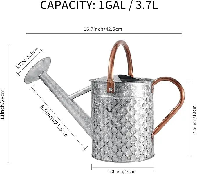 1 Gallon Metal Watering Can for Outdoor Indoor Plants, Galvanized Watering Can with Removable Spray Spout, Ideal for Garden Watering by GreenHaven Gardens