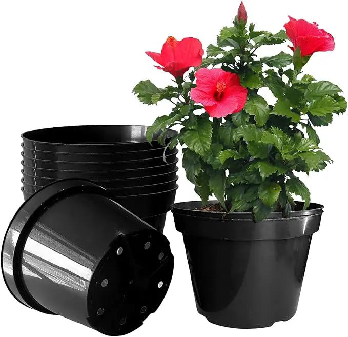 10 Inch Plastic Nursery Pots for Plants 10 Pack Plant Pots with Drainage Holes 2 Gallon Nursery Pots Perfect for Indoor Outdoor Plants Such as Herbs, Strwaberrys and Flowers, Black by GreenHaven Gardens
