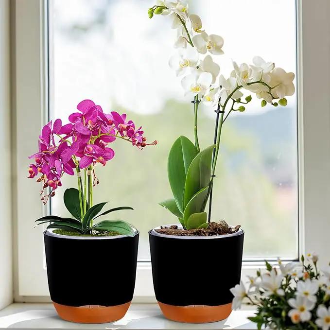 QCQHDU 2 Pack Orchid Pots with Holes for Repotting, Double-Layer and Self Watering Orchid Pot with Good Air Circulation by GreenHaven Gardens