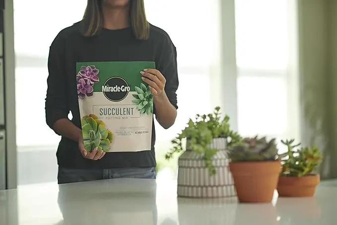 Miracle-Gro Succulent Potting Mix, for Indoor Succulents, Aloe Vera and More, Made with Miracle-Gro Plant Food, 4 qt. (3-Pack) by GreenHaven Gardens