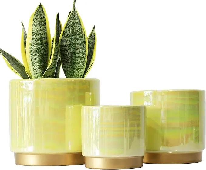 Gepege Indoor Pots for Plants, Ceramic Planter with Drainage Hole, 6.0 inch+5.0 Inch+4.0 Inch. Succulent Orchid Flower Pot - Rainbow Pearl Glaze by GreenHaven Gardens