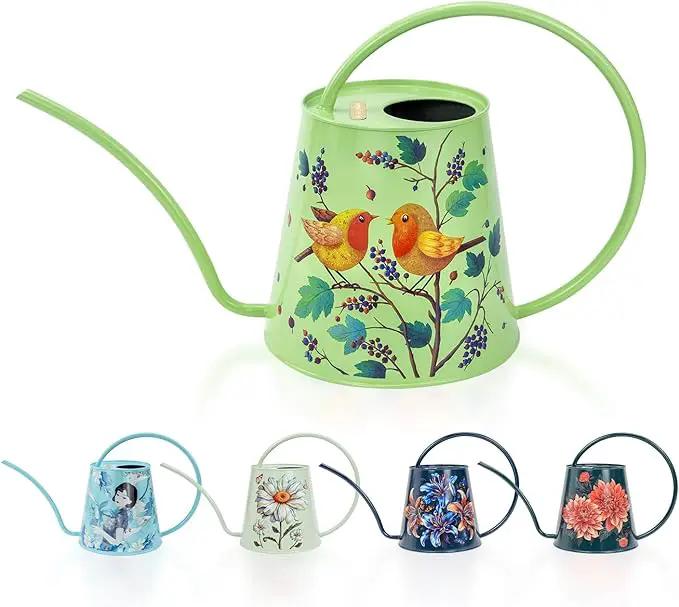 Berry&Bird House Plants Watering Can - Indoor & Outdoor 1/2 Gallon Stainless Steel Water Can with Long Spout Garden Decoration for Flower Bonsai Succulent Gardening Large Watwer Bottle(2L/Robin) by GreenHaven Gardens