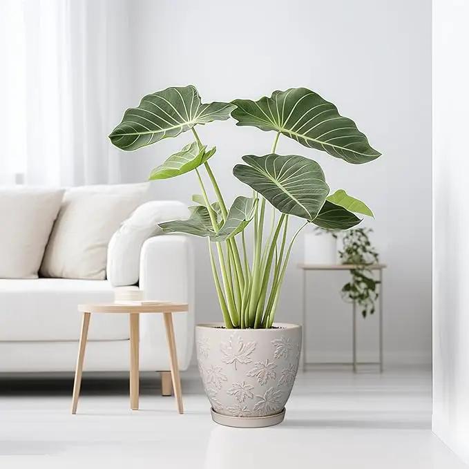 Pots for Plants 10 Inch - Ceramic Planter Large Plant Pot for Indoor Plants Outdoor Round Flower Pot with Drainage Hole and Saucer Home Garden Decor White by GreenHaven Gardens