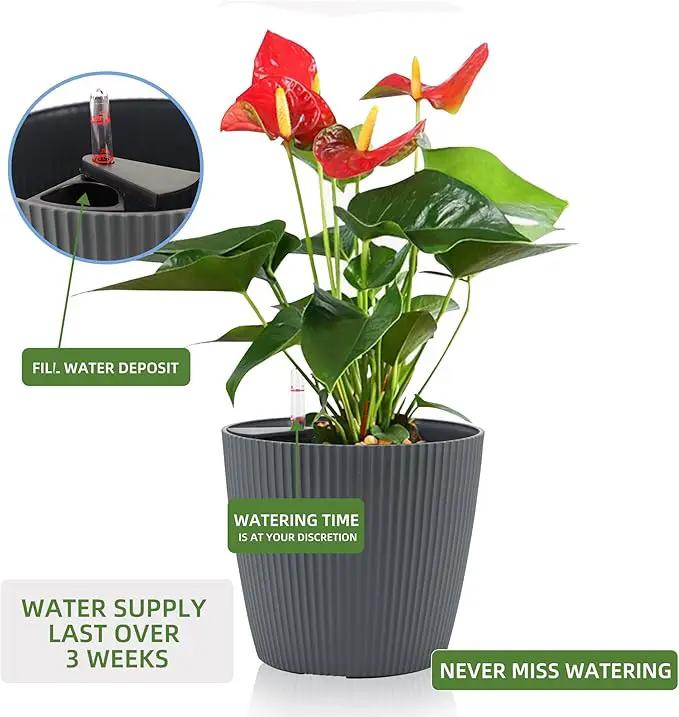 Dexceder 13x12 Self Watering Planters Indoor, Inner Mat Design, Floor Standing Flower Plant Pot with Water Level Indicator (2 Pack, Gray) by GreenHaven Gardens