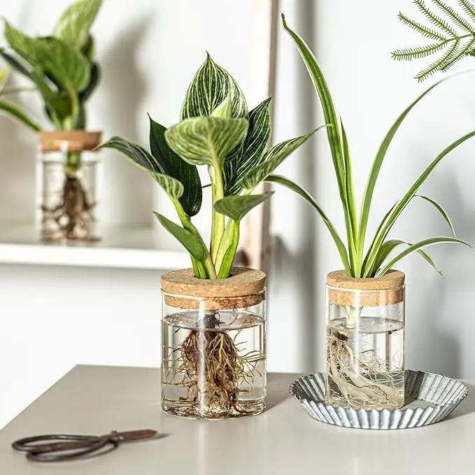 Glass Plant Propagation Stations for Plants – Set of 4(2 Large & 2 Small) Hydroponic Vases for Plant Cuttings,Flower Arrangements, Home & Office Decor–Desktop Vases for Living Room, Bedroom (4) by GreenHaven Gardens