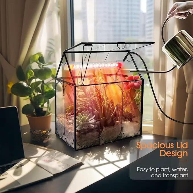 Plant Terrarium with Grow Light, Rifny Indoor House Shape Glass Terrarium Kit with Lid, Small Terrarium Jar Planter for Venus Fly Trap Succulent Live Air Plants Decor for Home Office (Without Plants) by GreenHaven Gardens
