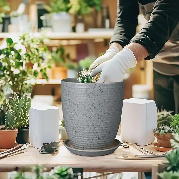 8 Inch Plant Pot Ceramic Planter Pot with Drainage Hole and Saucer Modern Round Flower Pot for Indoor Plants Light Gray by GreenHaven Gardens