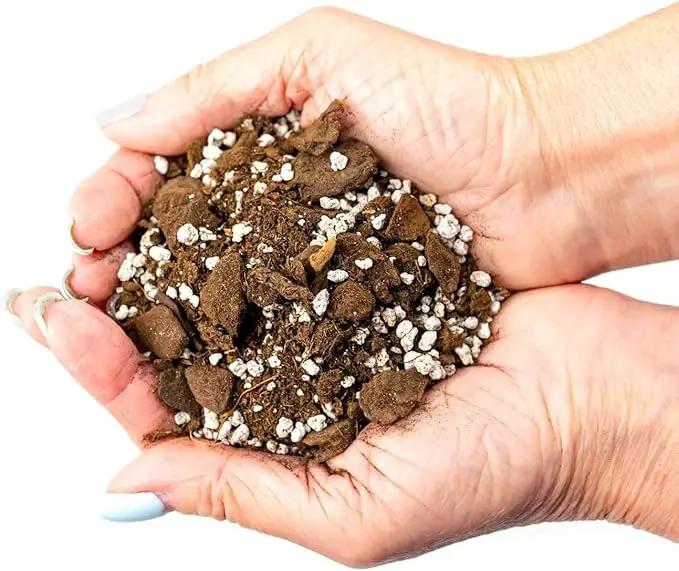 Palm Tree Potting Mix - The Ultimate Soil for Strong and Healthy Palms - Top Choice for Palm Tree Growers [10 Quart Bag] by GreenHaven Gardens