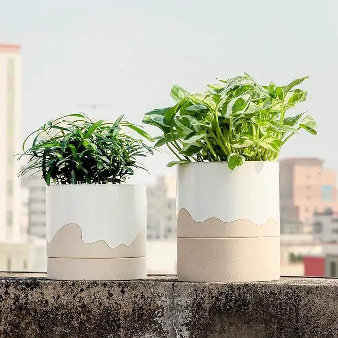 Nihow Ceramic Plant Pot: 6 Inch Planter with Drainage Hole & Saucer for Indoor & Outdoor Plants - Cylinder Round Flower Pot for Succulent/Herbs/Violets - White & Nature by GreenHaven Gardens