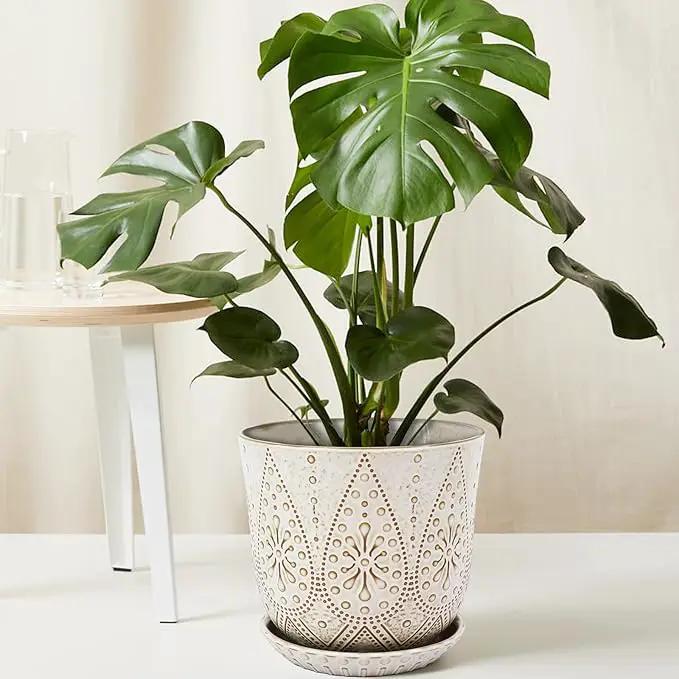 Gepege 8 Inch Plant Pot, Creamy White Ceramic Planter with Drainage Holes and Saucers for Plants Indoor and Outdoor Flower Pot by GreenHaven Gardens