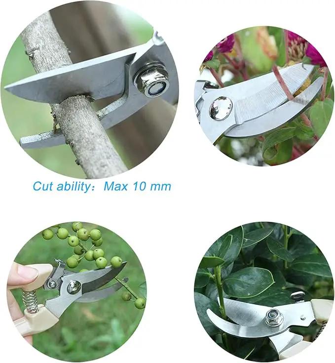 Curve Gardening Scissor with Sharp Stainless Steel Blade Garden Shears for Cutting Flowers Trimming Plants of Yard Florist Flower Rose Herb Hedge Bonsai and Fruits Picking by GreenHaven Gardens