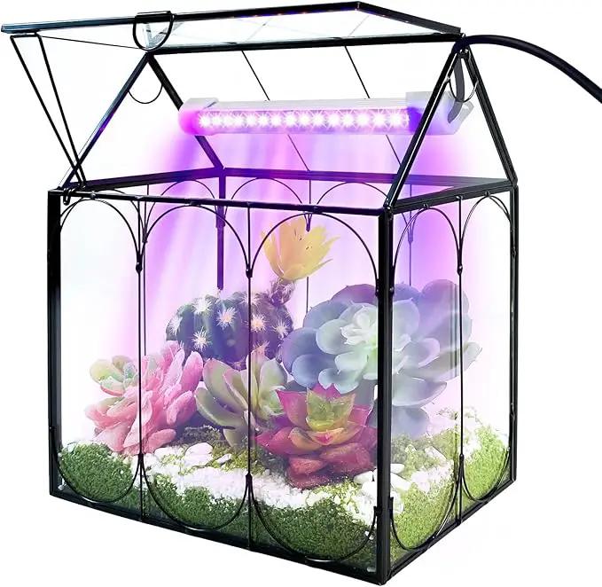 Plant Terrarium with Grow Light, Rifny Indoor House Shape Glass Terrarium Kit with Lid, Small Terrarium Jar Planter for Venus Fly Trap Succulent Live Air Plants Decor for Home Office (Without Plants) by GreenHaven Gardens