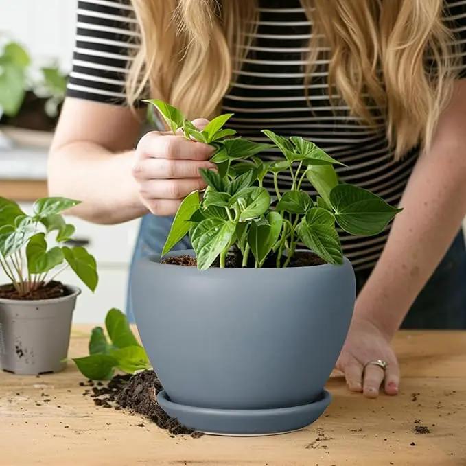 Ceramic Pot for Plants - 6 Inch Plant Pot Indoor with Drainage Hole and Saucer Decorative Planter for Outdoor Plants Modern Succulent Pots Round Flower Pots Gray by GreenHaven Gardens