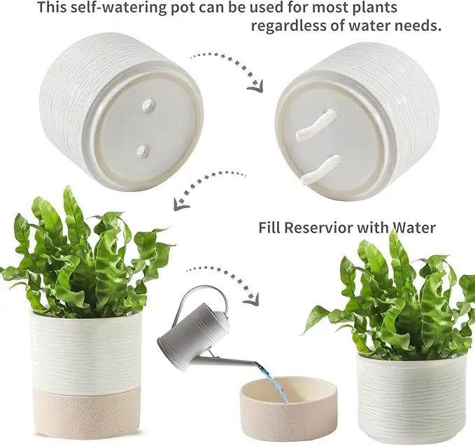 Nihow Self Watering Plant Pot for Indoor Plants: 4.5+6 Inch Ceramic Planter with Drainage Hole & Water Storage Plus - Cylinder Flower Pot with Wick for Herbs -White & Brown by GreenHaven Gardens