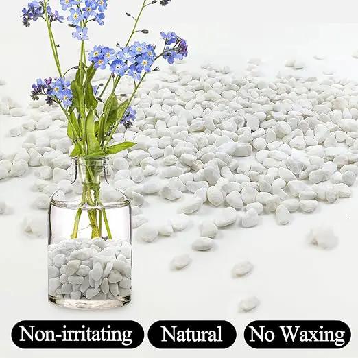 2lbs White Pebbles for Indoor Plants, 3/8inch Small Rocks for Succulent Cactus Planters, Natural Polished Pebbles, River Rocks for Plants, Vases, Garden by GreenHaven Gardens