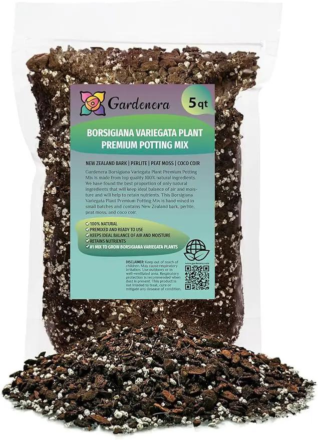 Premium Monstera Borsigiana Potting Mix - Retains Moisture and Promotes Root Growth by Gardenera - 5 Quart by GreenHaven Gardens