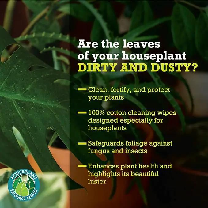 Leaf Cleaner Wipes for House Plants - Sparkling Leaf Shine for Indoor Plants - Houseplant Resource Center Plant Cleaning Wipes for Leaves - Root and Plant Duster Wipes (30 Count) by GreenHaven Gardens