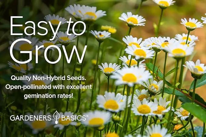 Gardeners Basics, Perennial Flower Seeds for Planting Outdoors (5 Variety Pack) Lupine, Columbine, Echinacea Purple Coneflower, Black Eyed Susan, Shasta Daisy for Pollinators Wildflower Seed by GreenHaven Gardens
