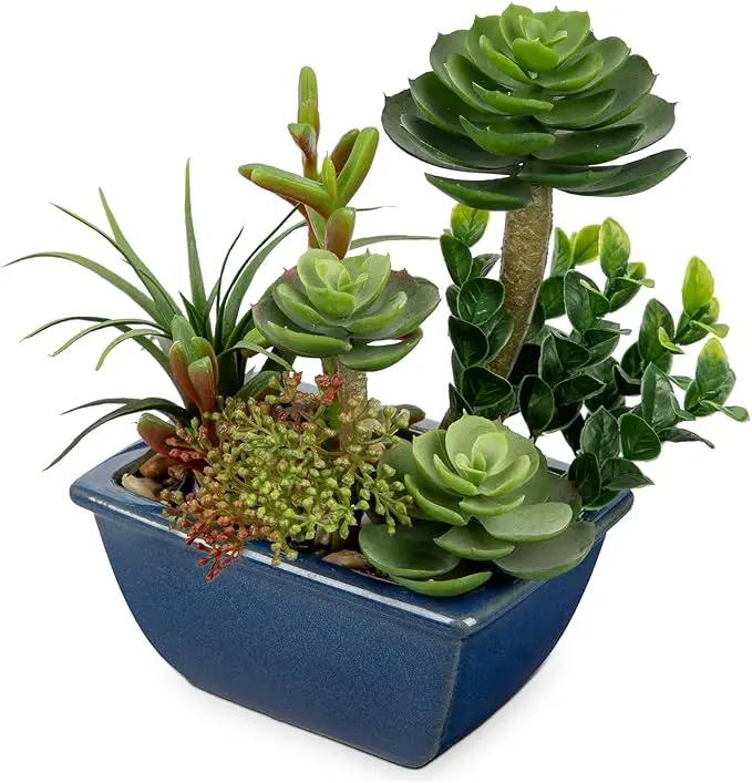 Small Faux Plant Assorted Fake Succulents Plants with Glazed Ceramic Pot Faux Succulents Arrangement Cement Potted Desk Plants Small Fake Plants for Home Table Office Bathroom Shelf Living Room Decor by GreenHaven Gardens