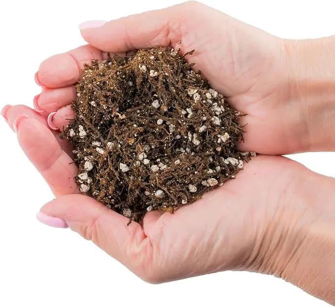 Fern + Perlite Soil Mix - 10 Quart - for Repotting and Planting Succulents and Cactuses (4 Bags of 5 Quart) by GreenHaven Gardens