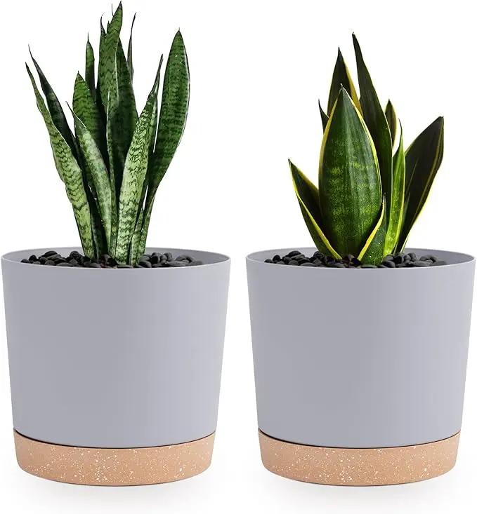 QCQHDU 6.5 inch Plant Pot, 2 Pack Planters for Indoor Plants with Drainage Holes & Saucer, Outdoor Flower Pots Home Garden Modern Decor by GreenHaven Gardens