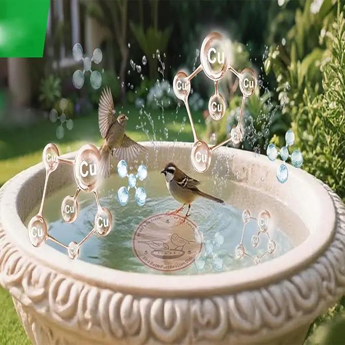 4-Pack 99.99% Pure Copper Bird Bath Purification Disk,Copper Disc with Stable Triple-Point Support,Fits All Outdoor Bird Baths(Round) by GreenHaven Gardens