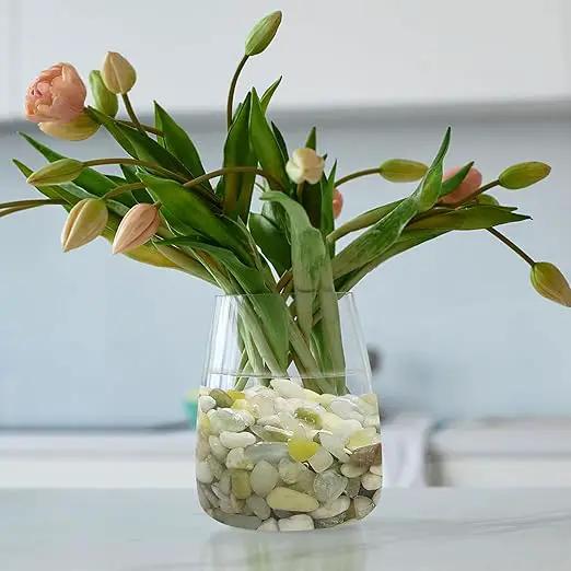 5LB Succulent Jade Pebbles, 3/8 Inch Natural Decorative Polished Stones, River Rocks for Vase, Flowerpot, Indoor and Garden Decoration by GreenHaven Gardens