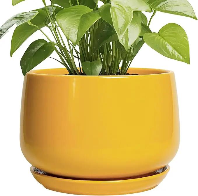 G EPGardening Ceramic Flower Pot - 9 Inch Plant Pots for Indoor Outdoor Plants, Round Ceramic Planter with Drainage and Plant Saucer, Modern Planter, Home Office Decor, Garden Gifts, Yellow by GreenHaven Gardens