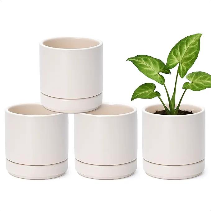 D'vine Dev Set of 4 Small Ceramic Plant Pots, 4.6 Inch Succulent Planter Pot for Plants with Drainage Hole and Saucer, Oatmeal, 94-X-B-8 by GreenHaven Gardens