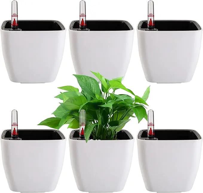 yarlung 6 Pack Self Watering Planter with Water Level Indicator, 5 Inch Plastic Plant Flower Pots Nested Container for Indoor Plants, Herbs, Aloe, Outdoor Gardening by GreenHaven Gardens