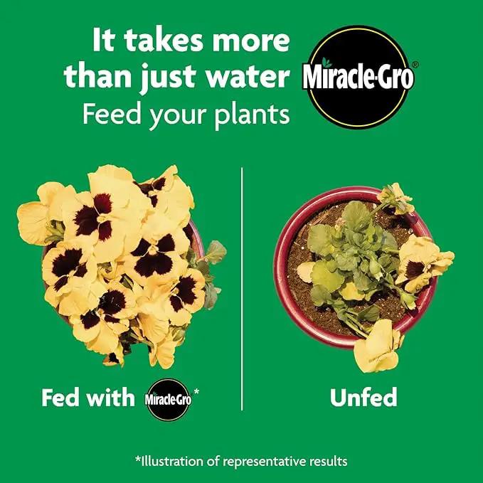 Miracle-Gro Shake 'N Feed All Purpose Plant Food, For In-Ground and Container Plants, Feeds for up to 3 Months, 8 lbs. by GreenHaven Gardens