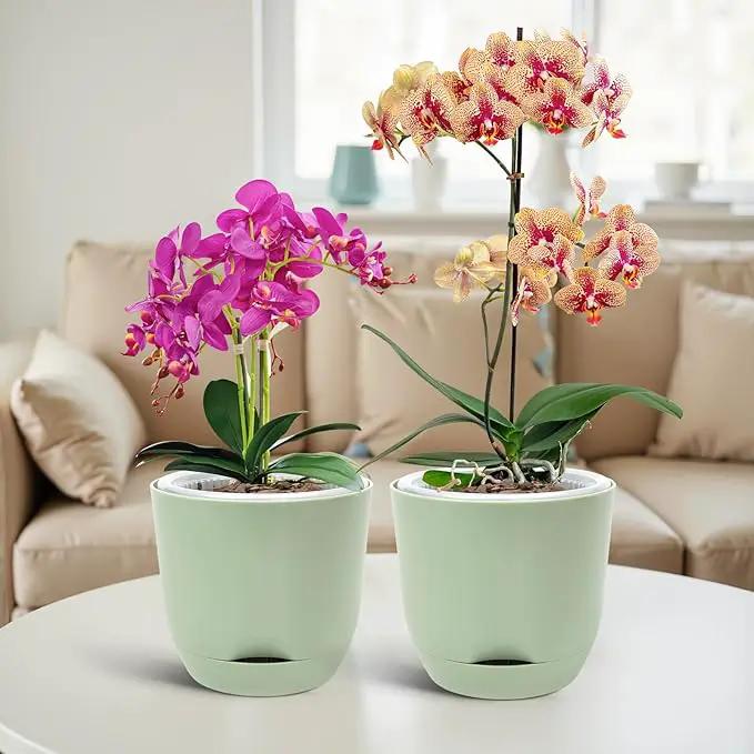 QCQHDU 2 Pack Orchid Pots with Holes for Repotting, Double-Layer and Self Watering Orchid Pot with Good Air Circulation by GreenHaven Gardens