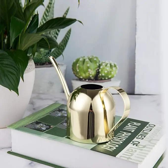 IMEEA Gold Watering Can for Indoor Plants, Orchid, Bonsai - Stainless Steel With Long Spout for House, Desk, Office - 15oz/450ml by GreenHaven Gardens