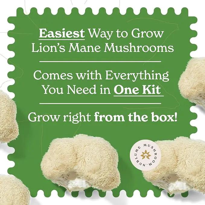Lion's Mane Mushroom Grow Kit | Grow Your Own Fresh Gourmet Mushrooms at Home | Edible Indoor Mushroom Growing Kits Great Gift by GreenHaven Gardens