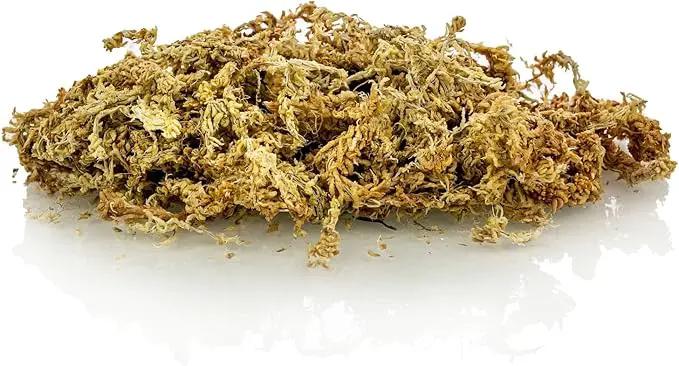 Premium Grade Sphagnum Moss by Gardenera - 20 Quart - Organic Hand Mixed New Zealand Long Fibered Sphagnum Moss Orchid - 4 Bags of 5 Quart by GreenHaven Gardens