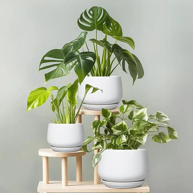 G EPGardening Ceramic Planter 9 Inch - Plant Pots with Drainage and Ceramic Saucer, Flower Pots for Indoor Plants, Modern Outdoor Planter, Living Room Decor, Gifts for Plant Lovers, White by GreenHaven Gardens