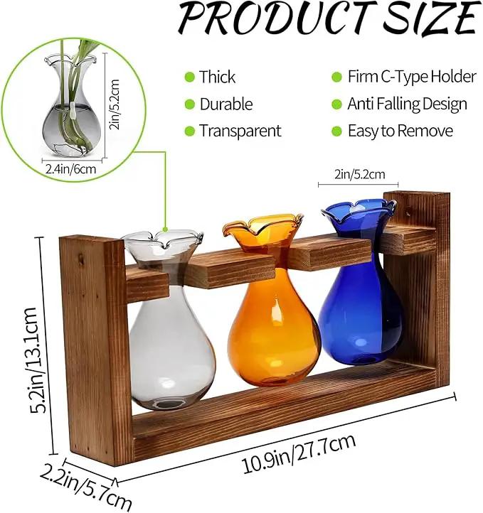 Plant Propagation Station Plant Terrarium Unique Birthday Gifts for Women Plant Lovers Home Office Decor Planter with Wooden Stand - 3 Bulb Glass Vase by GreenHaven Gardens