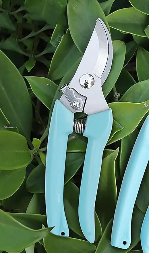 Blue Garden Flower Shears Pruning Shears 6.9 inches Scissors Heavy Duty Plant Scissors for Cutting Flowers, Trimming Plants, Bonsai, Fruits Picking (Blue Handle) by GreenHaven Gardens
