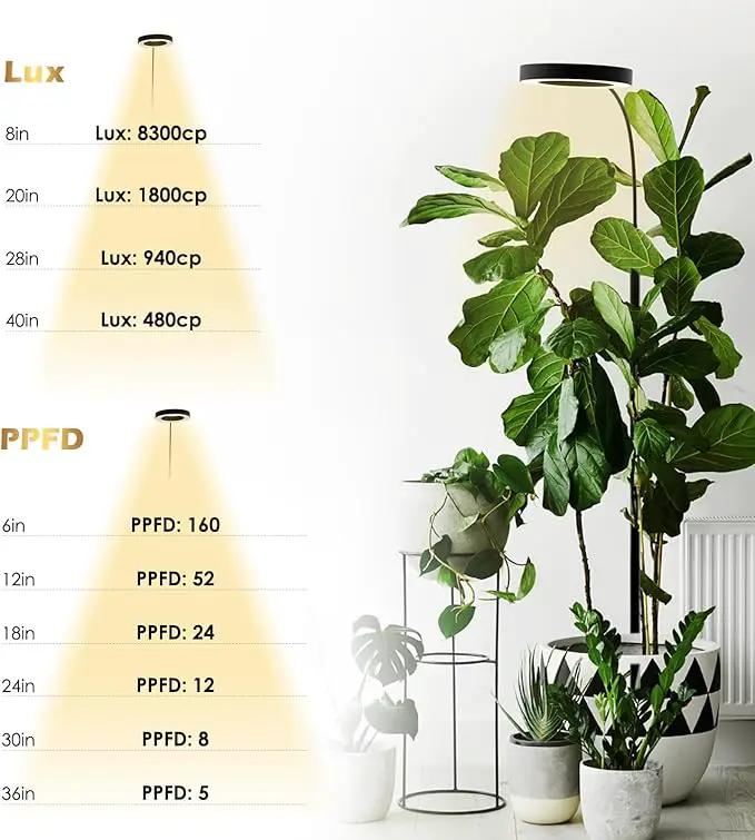 GLOWRIUM Grow Lights for Indoor Plants, 20W Full Spectrum LED Grow Light Floor Lamp with Stand Adjustable Height and Angle, Black Plant Light with 3/9/12H Grow Light Timer