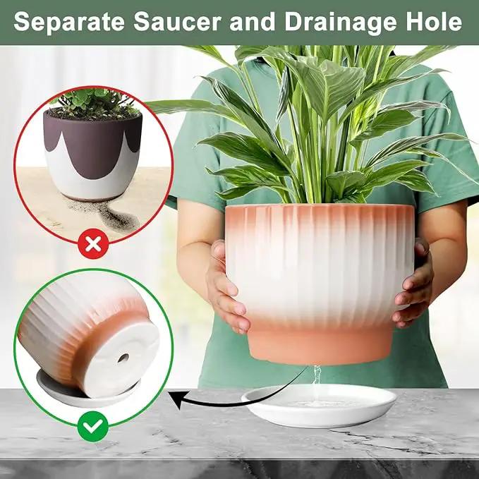 8 Inch Plant Pot, Ceramic Planter with Drainage and Saucer, Ceramic Pots for Plants, Indoor Plant pots,Ceramic Flower pots(Orange+ White, Plants NOT Included) by GreenHaven Gardens