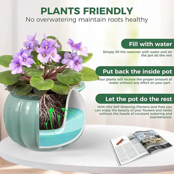 African Violet Pots, 6 inch Pumpkin-Style Ceramic Easy Self Watering Plant Pot for Busy Plant Lovers, Automatically Absorb Appropriate Amount of Water, Flower Pot Indoor-Plants Not Included by GreenHaven Gardens