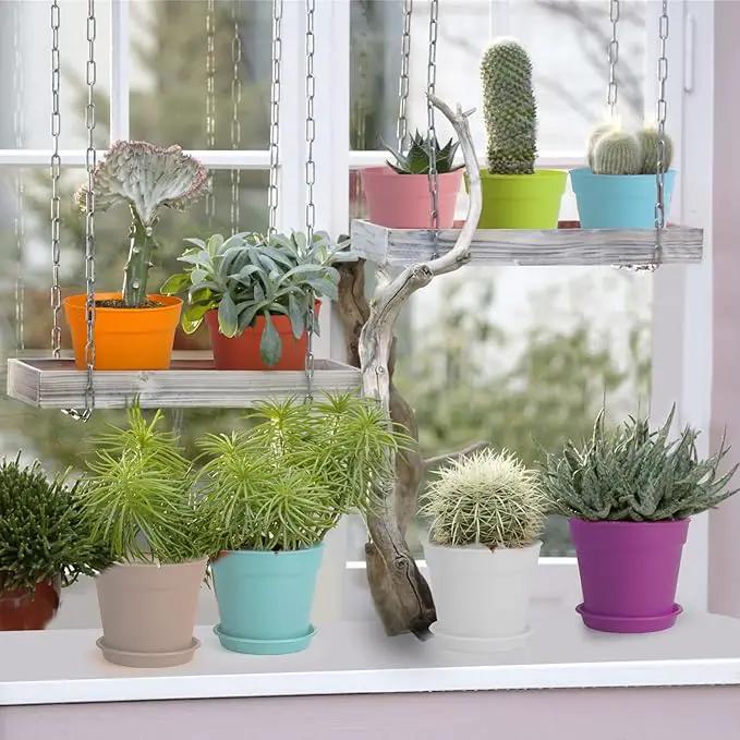 4 inch Plant Pots, 28 Pack Small Plastic Planters with Drainage Holes and Saucers for Flowers Plants, Succulents, Seed Starting Pots, Colorful by GreenHaven Gardens