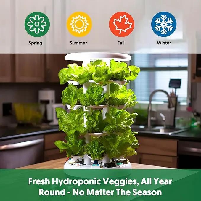 18 Varieties Herb & Vegetable Seeds for Hydroponic, 13000+ Seeds for Indoor Outdoor Garden Planting Home Veggie Herb, Heirloom Non-GMO Culinary Collection Gift Pack by GreenHaven Gardens